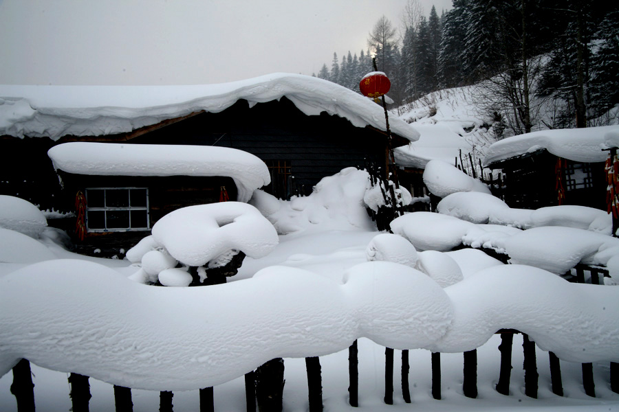 雪韵之二 摄影 香山