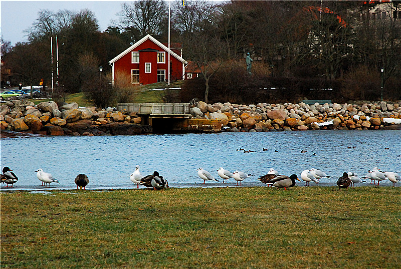 瑞典Karlshamn 摄影 北欧黎明