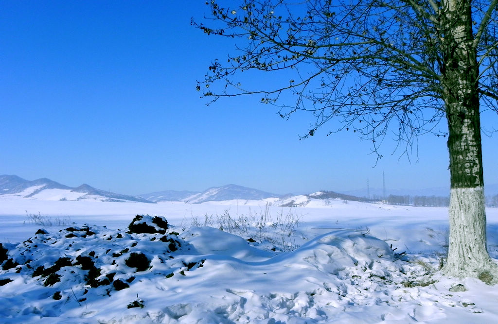 雪景  (屏保) 摄影 单亦红