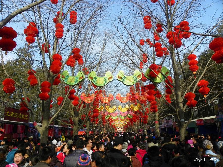 地坛庙会 摄影 胡俊中