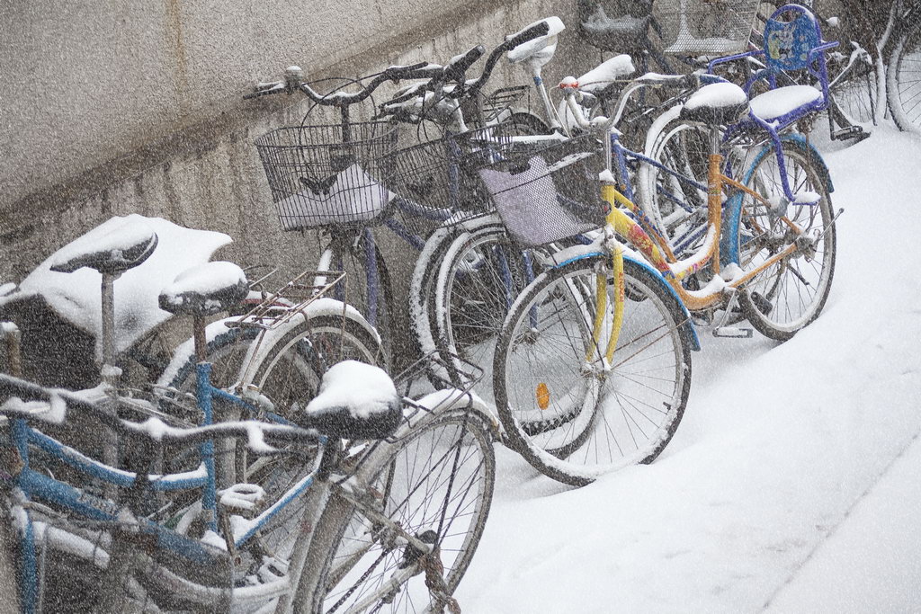 【北京终于下雪了！】 摄影 玉水门