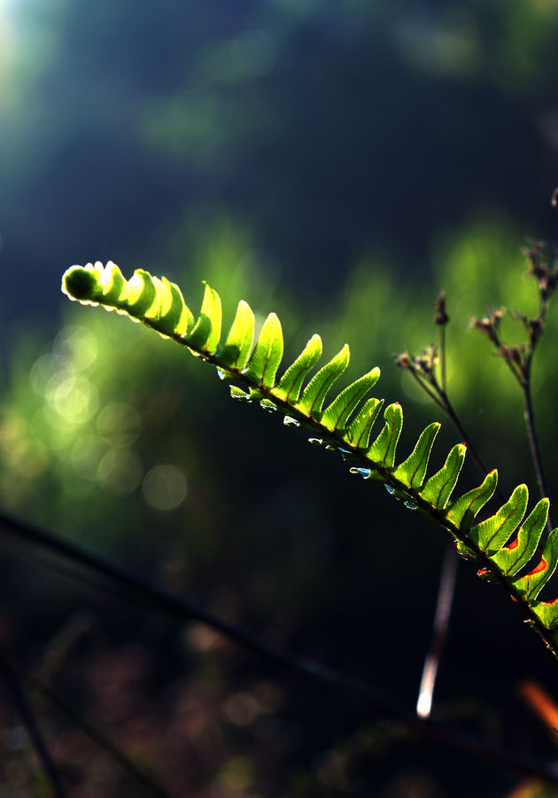 裹住阳光 摄影 细草穿沙