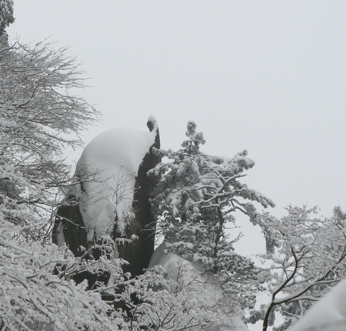 瑞雪九华--金龟朝北斗 摄影 美朵白玛