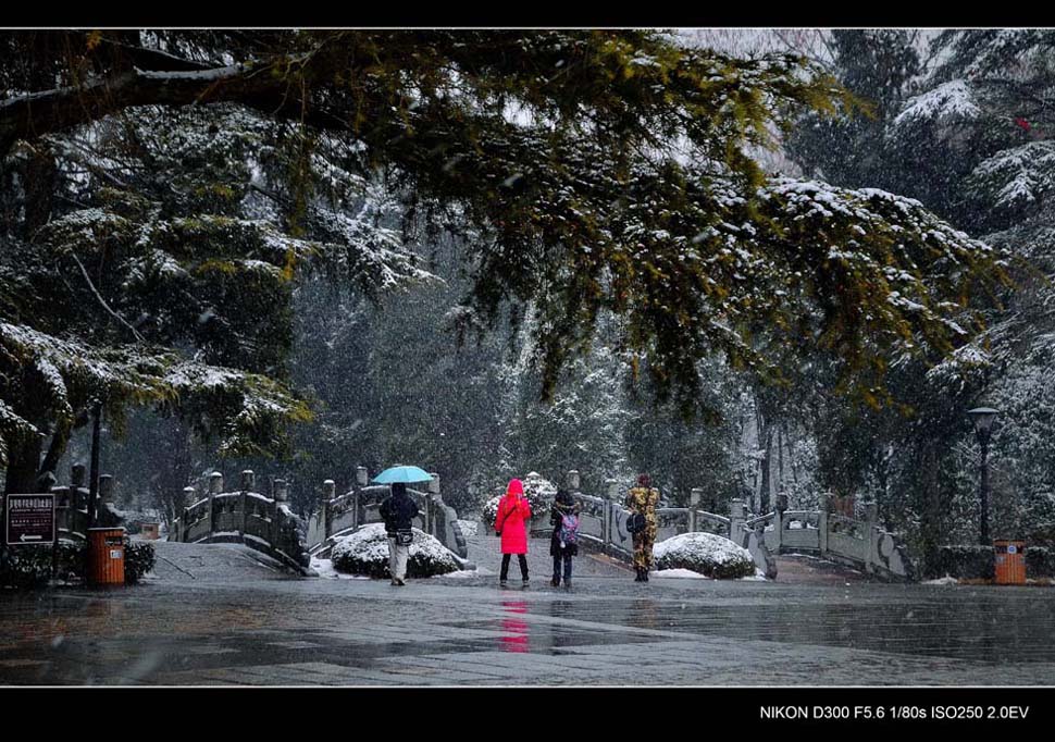 雪——丰泽孝陵 摄影 lingsu