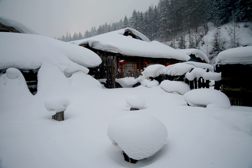 瑞雪丰年 摄影 香山