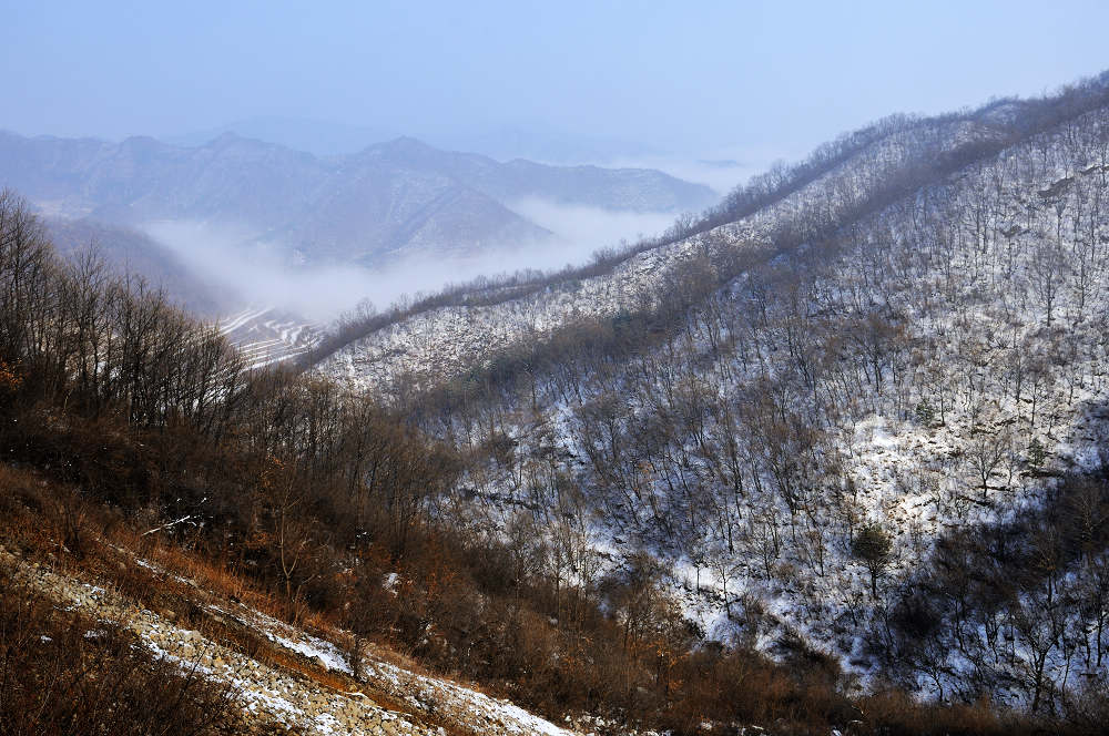 2011太行初雪 摄影 独步山羊