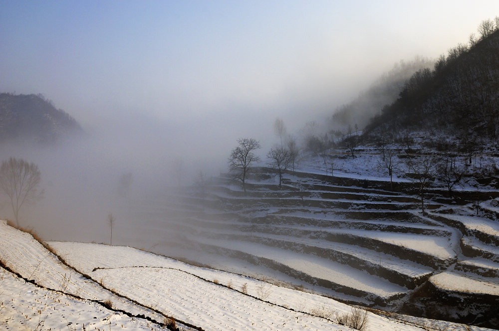 2011太行初雪 摄影 独步山羊