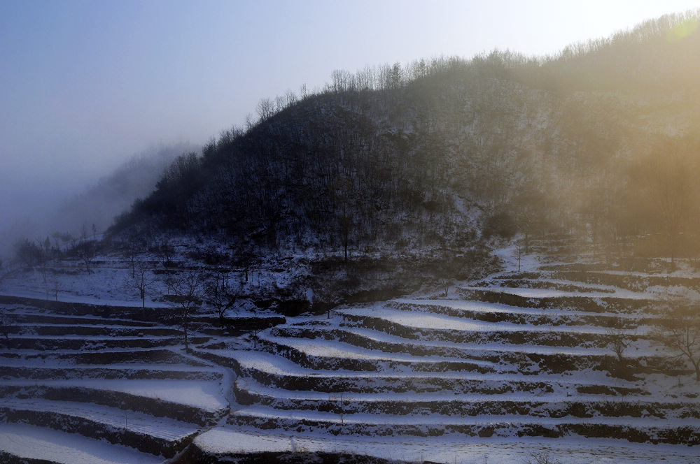 2011太行初雪 摄影 独步山羊