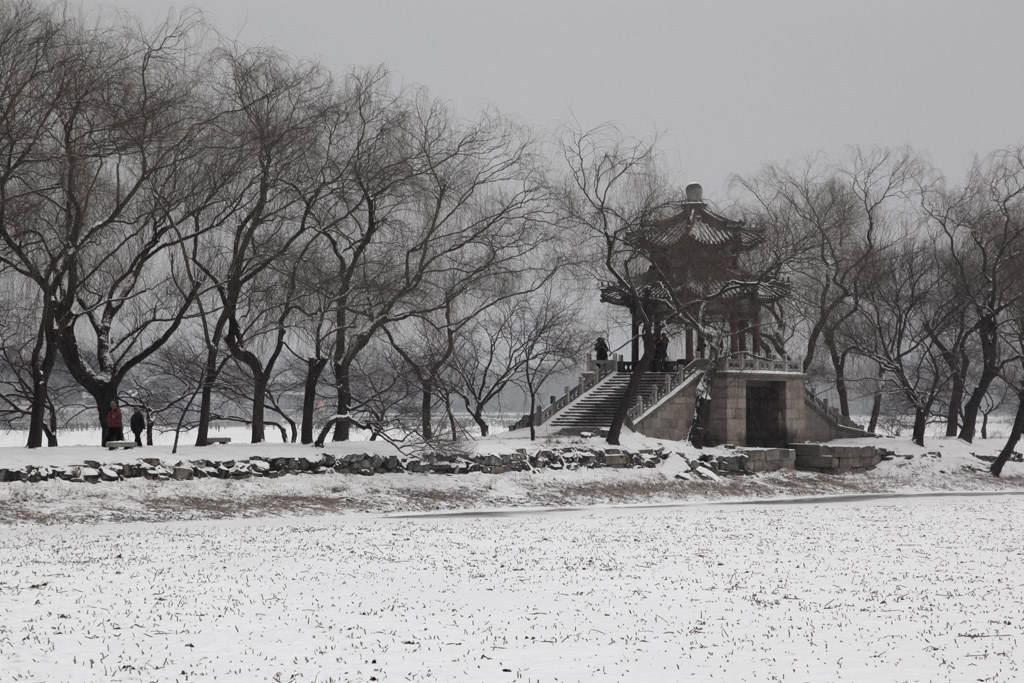 雪后颐和园 摄影 戈壁飞沙