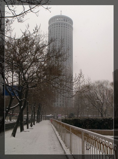 2011.02.10.兔年的第一场瑞雪 摄影 胖锅