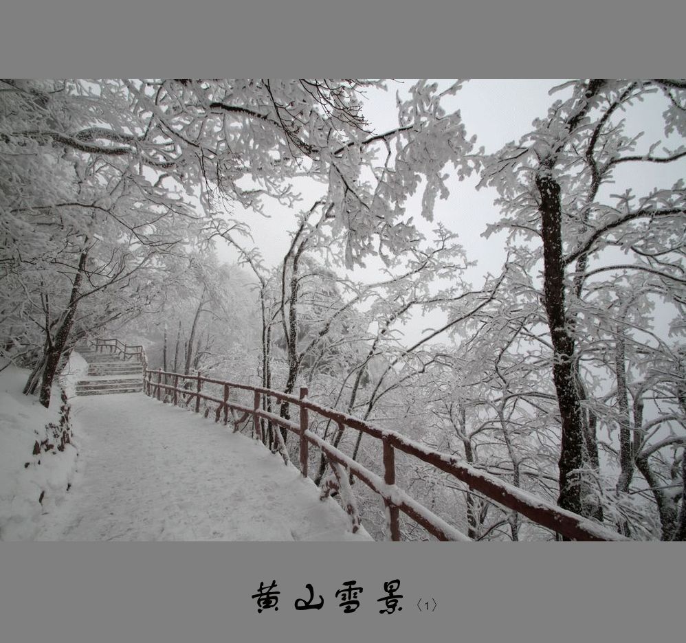 黄山雪景〈1〉2011〈021〉 摄影 季雨飞扬