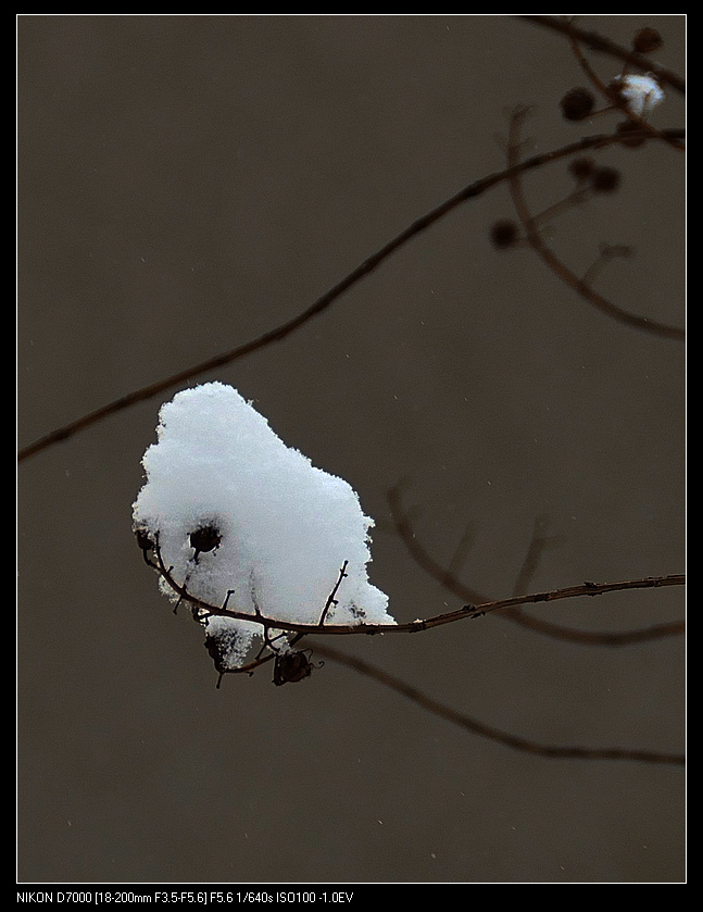 雪后1 摄影 山水乐