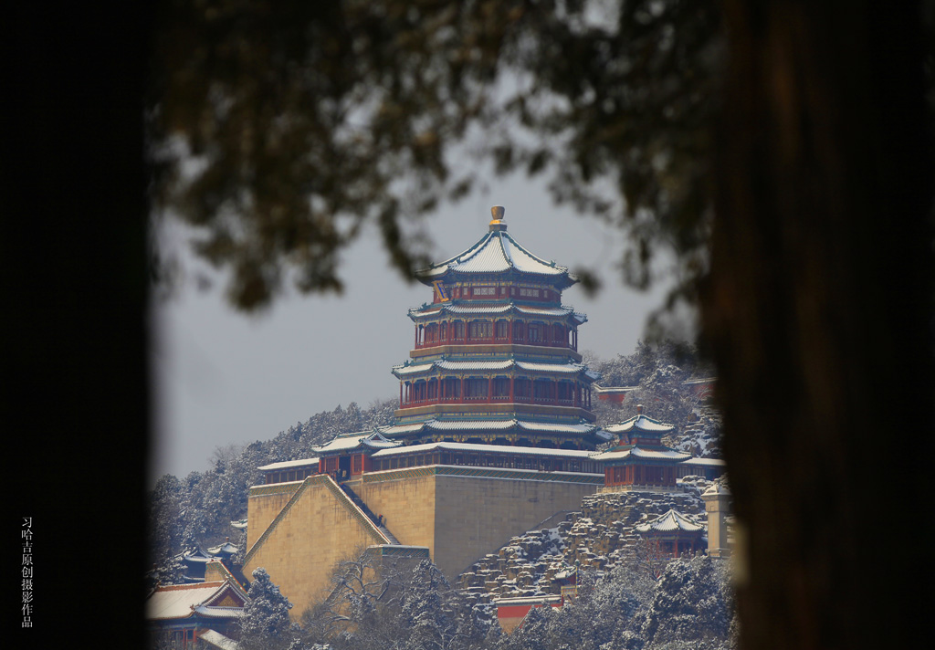 2011年第二场春雪 摄影 习哈吉