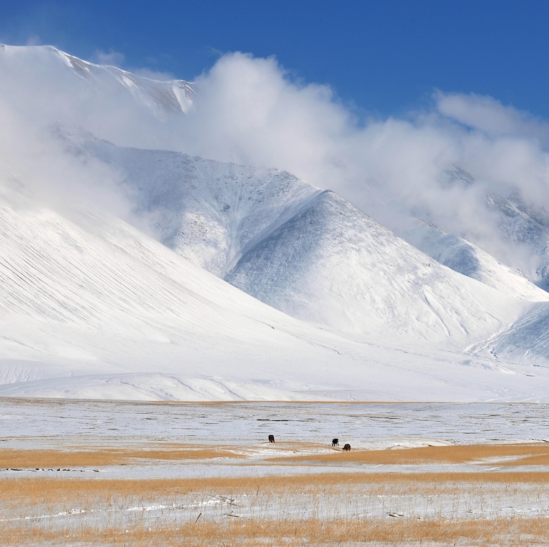 魅力帕米尔 摄影 雪山雄鹰