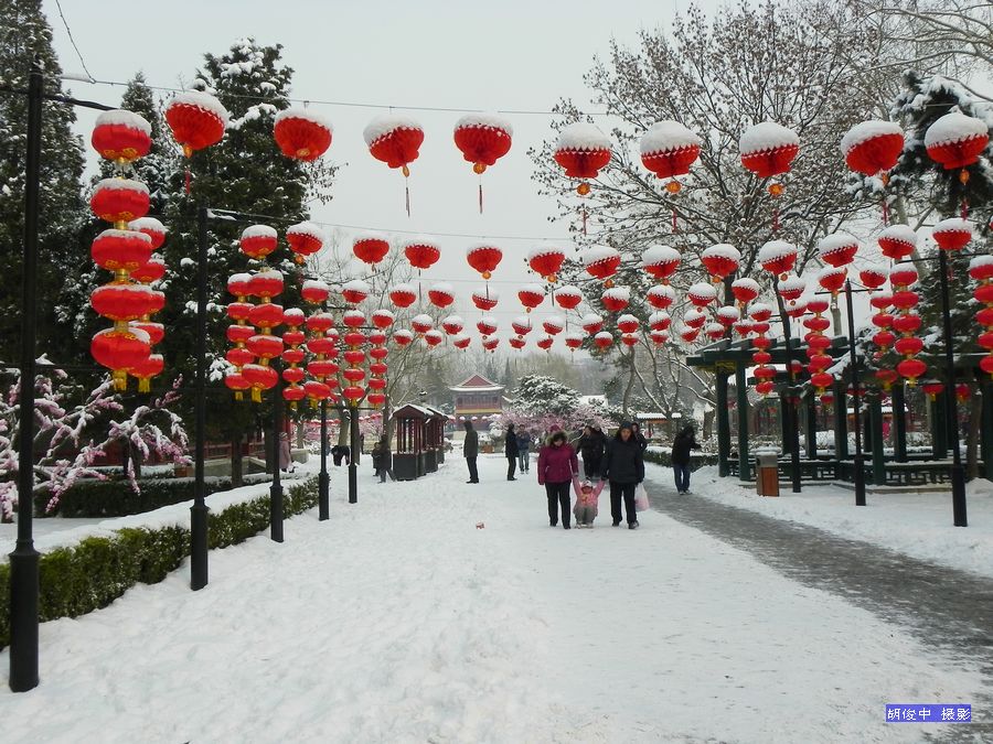 春雪 摄影 胡俊中