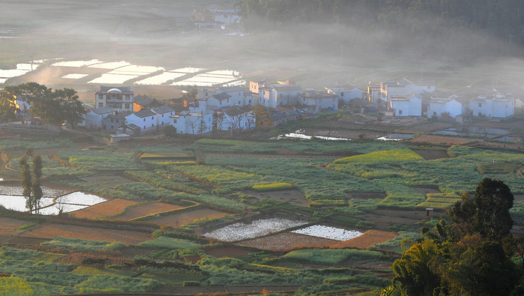 新春新村 摄影 勿忘心安