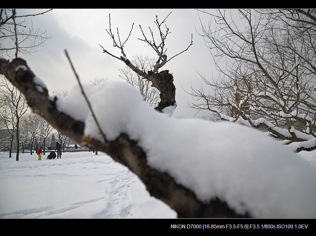 北京的第二场雪 摄影 JACKSHANG