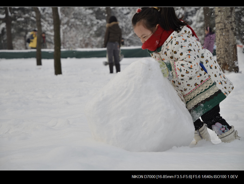 滚雪球 摄影 JACKSHANG