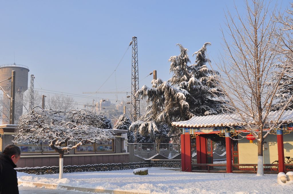 瑞雪 摄影 地震受过伤