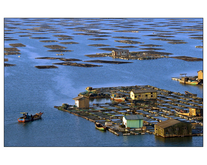 海上人家 摄影 浩瀚大海