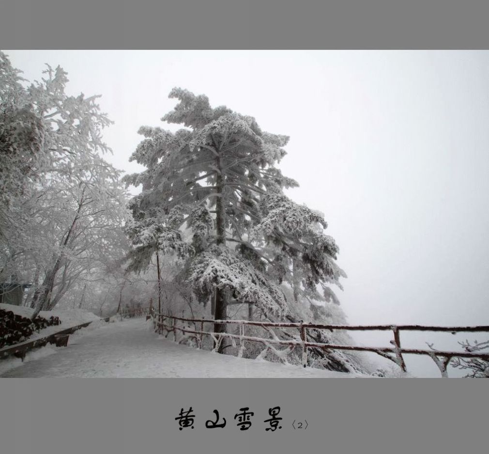 黄山雪景〈2〉2011〈022〉 摄影 季雨飞扬