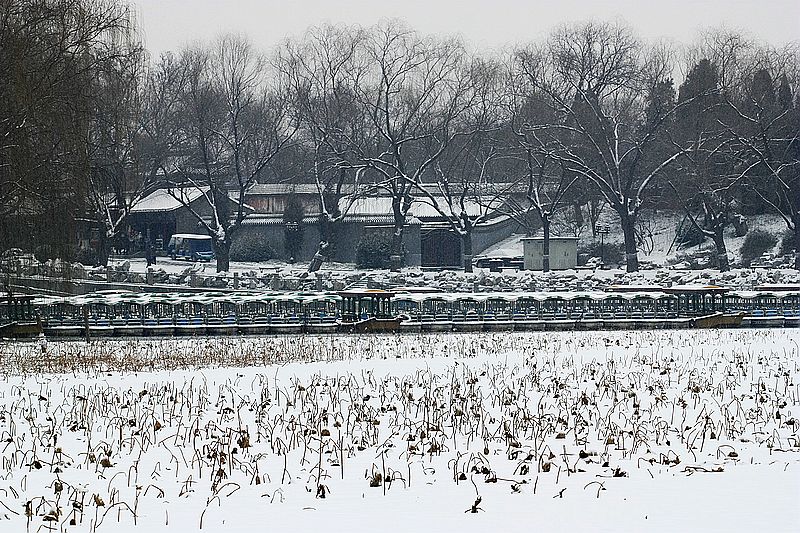 新年第一场雪 摄影 hong2009