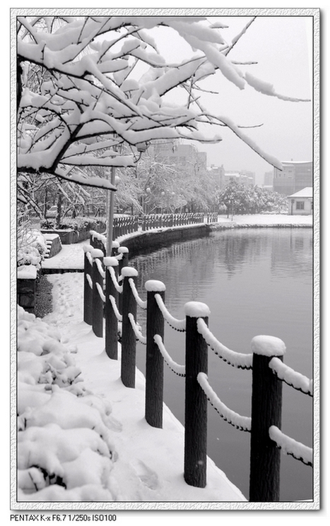 江城雪景3 摄影 WA逆风飞扬