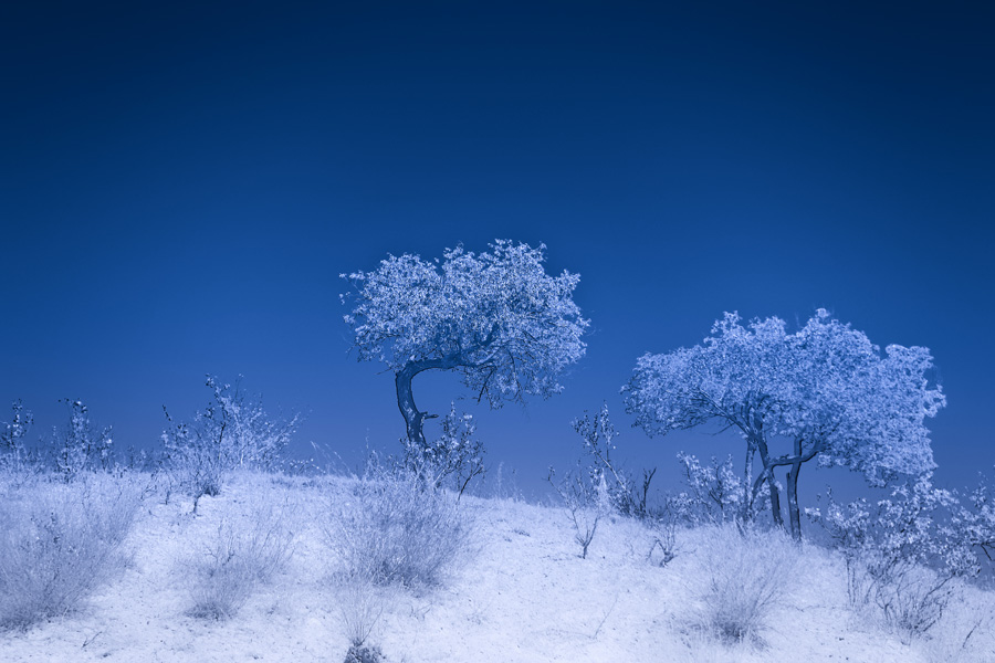 瘦雪 摄影 水舞蓝黛