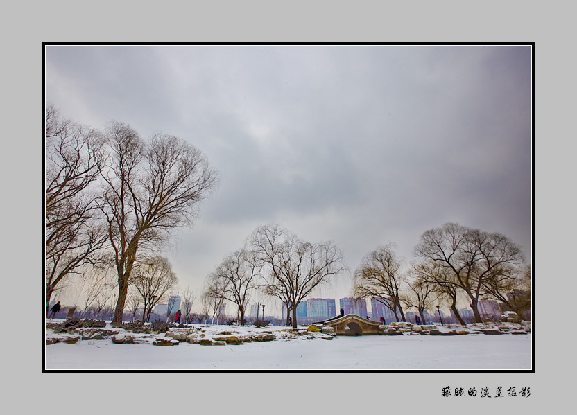 玉渊潭雪景 摄影 朦胧的淡蓝