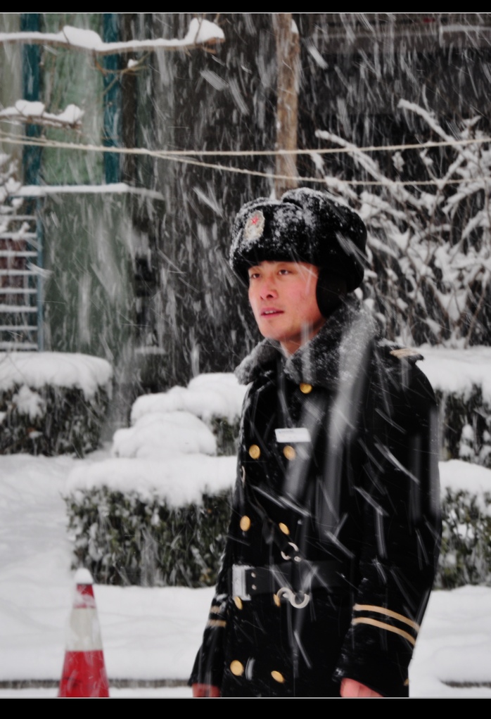 风雪中的家园卫士 摄影 田园城市