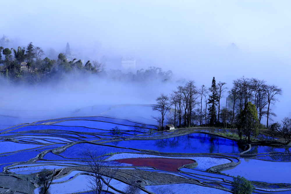 元阳印象 摄影 岷山雪