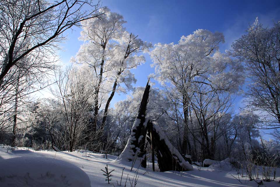 雪景 摄影 星湖