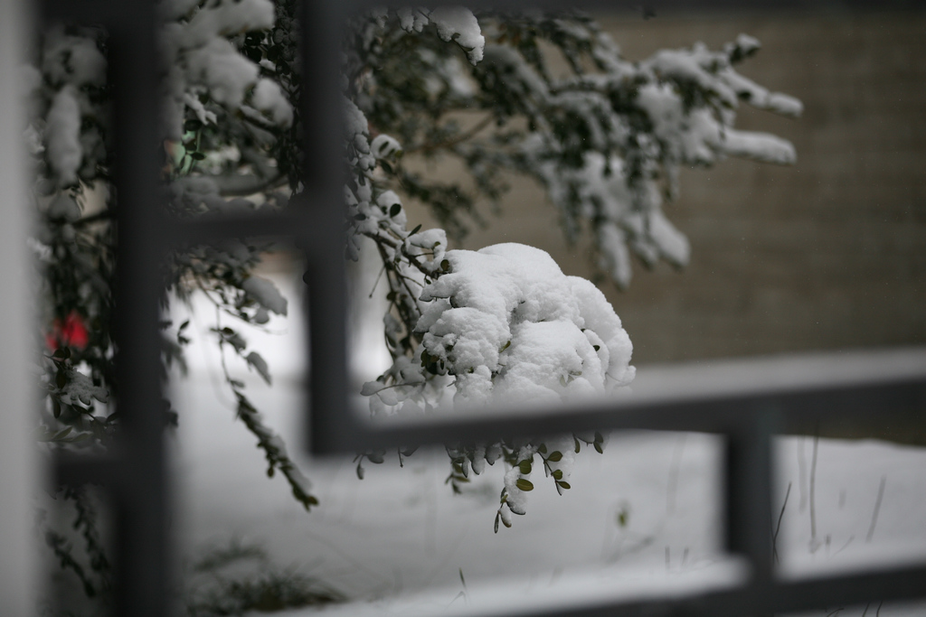 窗外的雪 摄影 青青5354