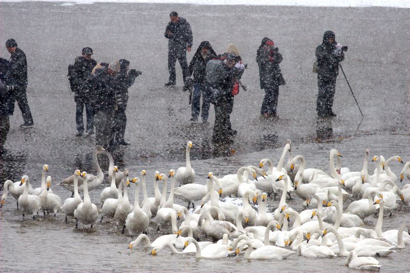 暴风雪中的摄影人 摄影 wnyg