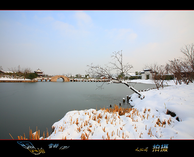 湿地雪韵（22） 摄影 天地间