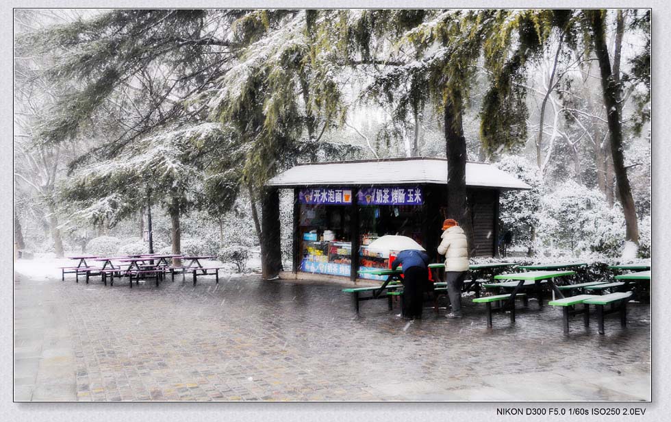 雪——雪中店铺 摄影 lingsu