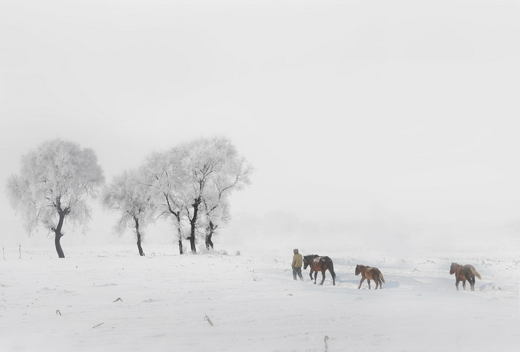 冰雪雾凇岛四 摄影 阿敏A