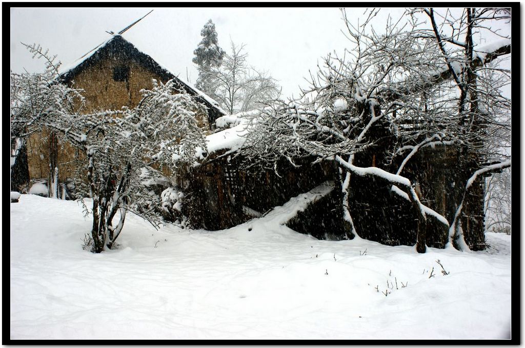 乡村瑞雪之二 摄影 关河纤夫