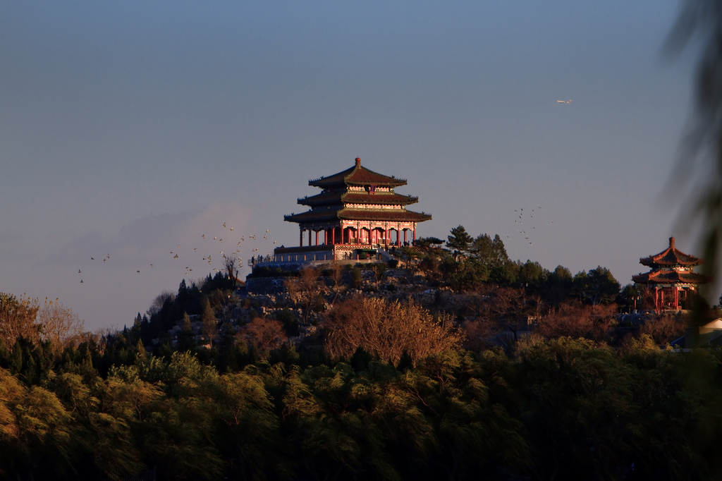 余辉景山万春亭 摄影 楚天舒