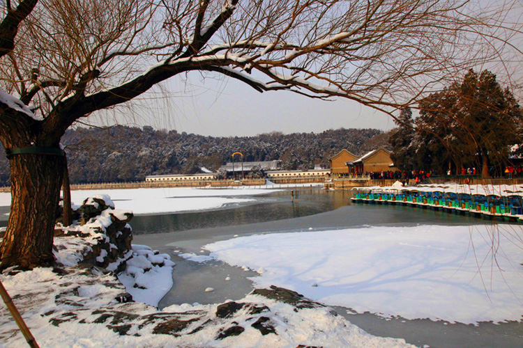 颐和圆雪景 摄影 百思特曼