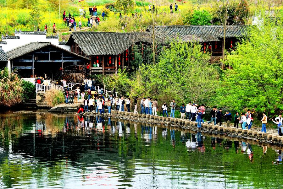 乡村春色 摄影 山枣