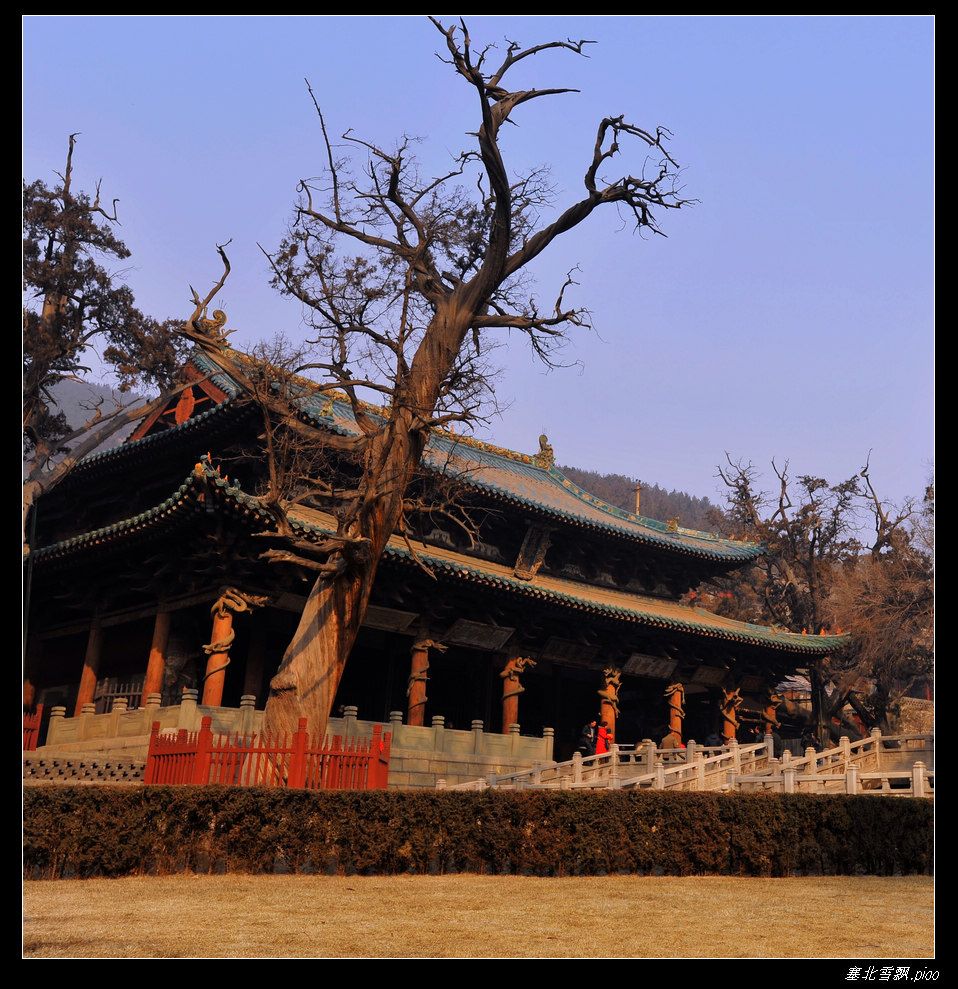 晋祠1---圣母殿 摄影 塞北雪飘