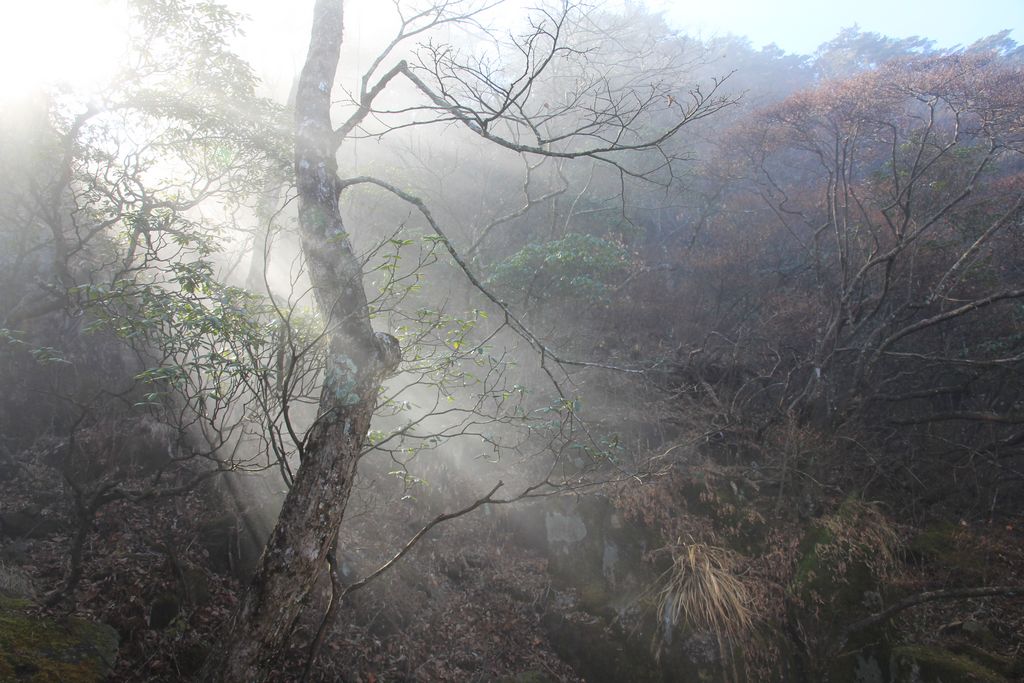 霞光 摄影 风清月朗