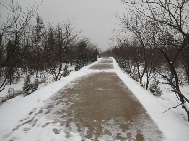 雪后公园小路 摄影 LYFBOUY