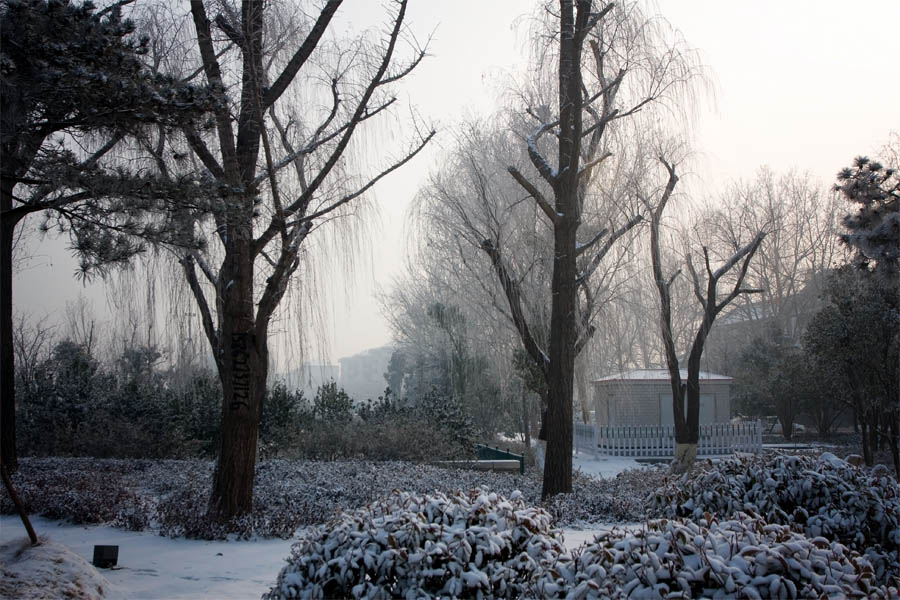 【原创】春雪润明湖……济南大明湖 摄影 细雨朦胧