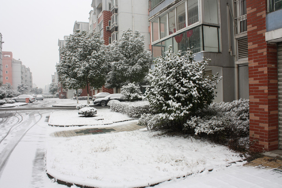 小区雪景2 摄影 卫曼