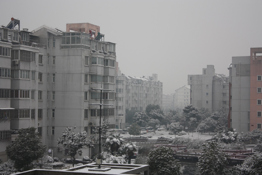 小区雪景1 摄影 卫曼