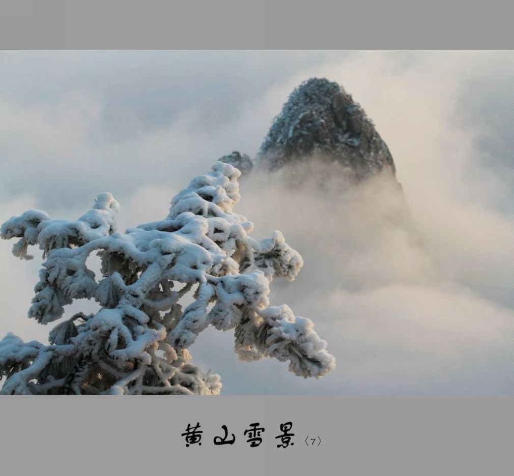 黄山雪景〈7〉2011〈026〉 摄影 季雨飞扬