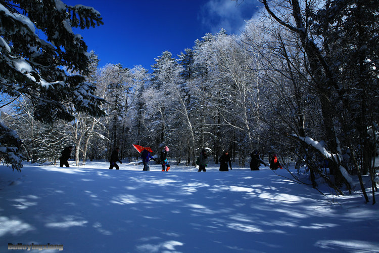 雪岭寻梦 摄影 岳桦