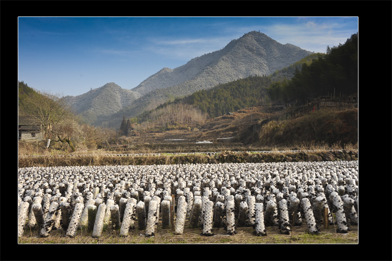 依山靠山 摄影 博匀